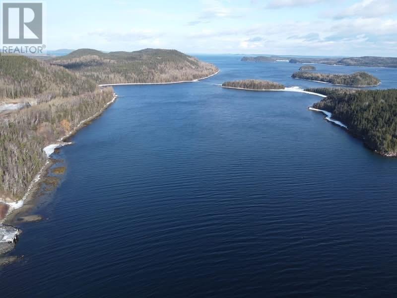 14 Old Briton Crescent, Lewisporte, NL