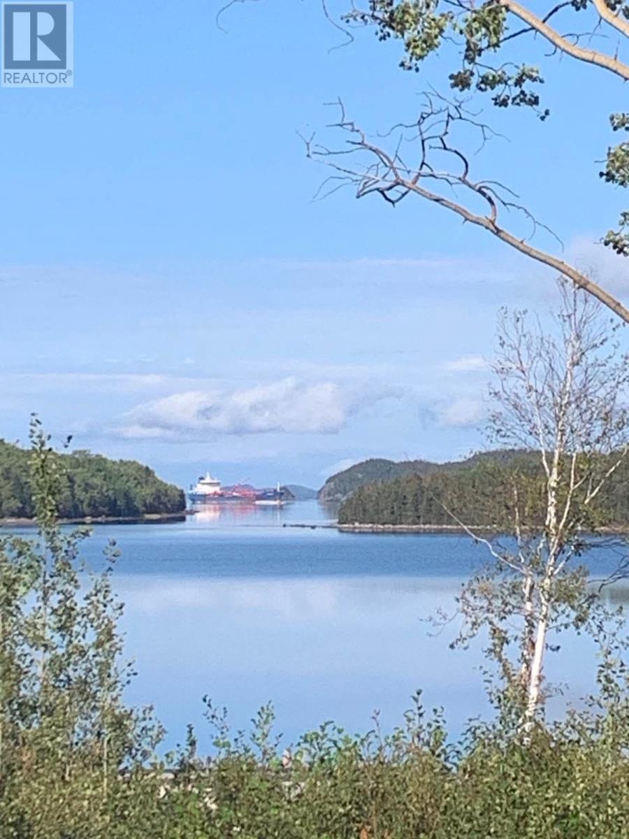 14 Old Briton Crescent, Lewisporte, NL