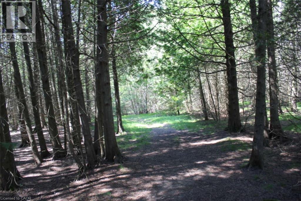 19-45 Spry Lake Road, Oliphant, ON