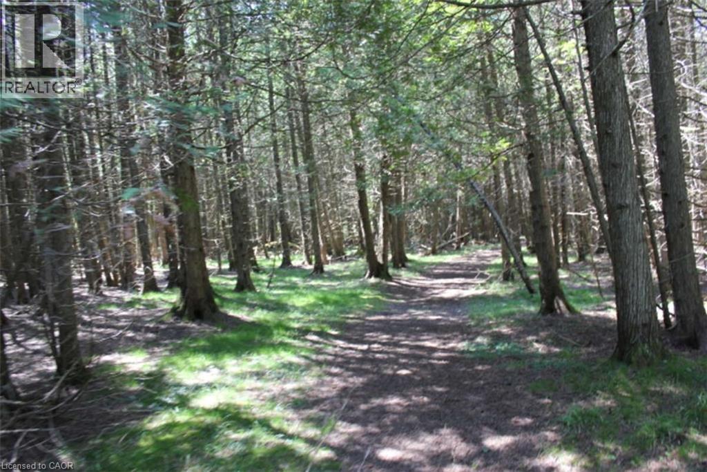 19-45 Spry Lake Road, Oliphant, ON