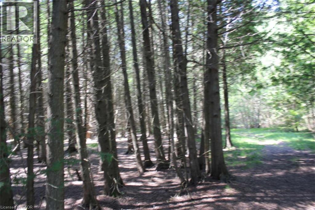 19-45 Spry Lake Road, Oliphant, ON