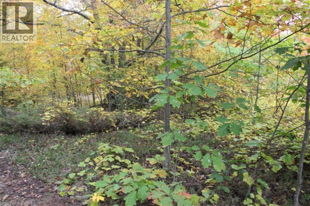 19-45 Spry Lake Road, Oliphant, ON