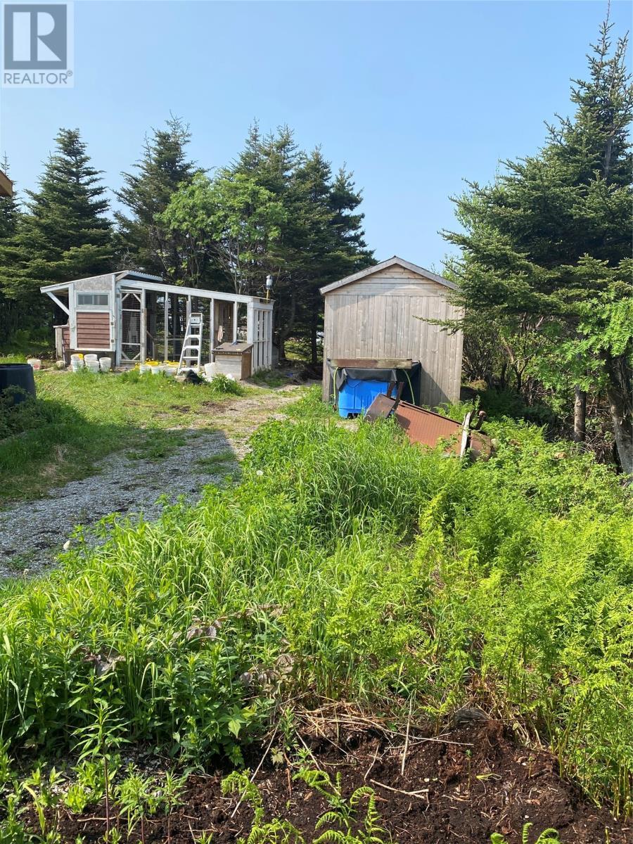 5 Main Street, Portland Creek, NL - Outdoor