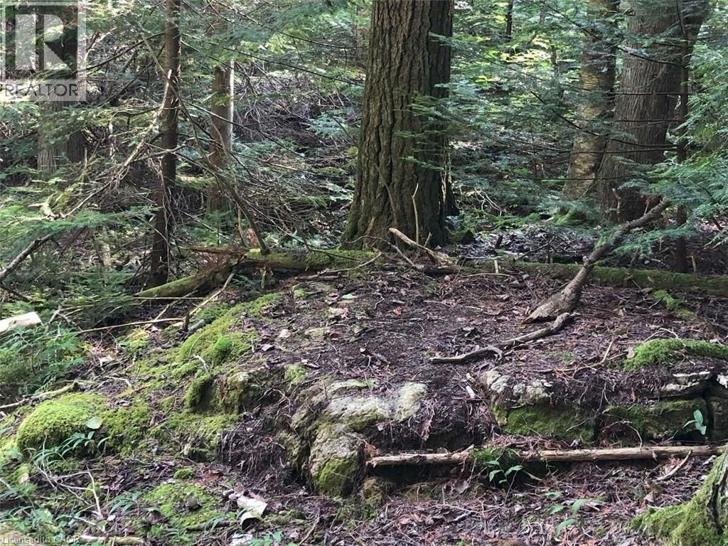 6 Dunn Street, Lion'S Head, ON