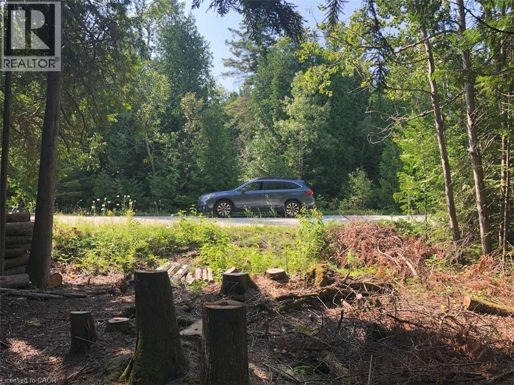 6 Dunn Street, Lion'S Head, ON