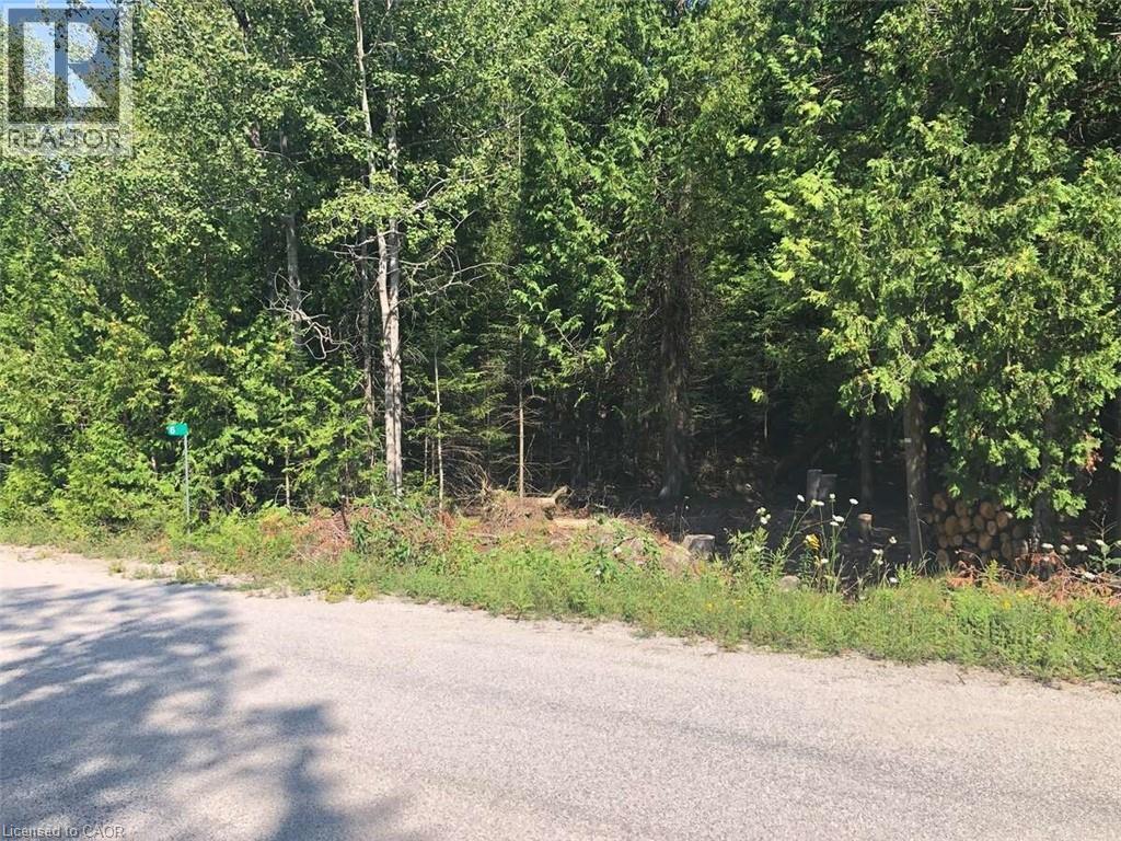 6 Dunn Street, Lion'S Head, ON