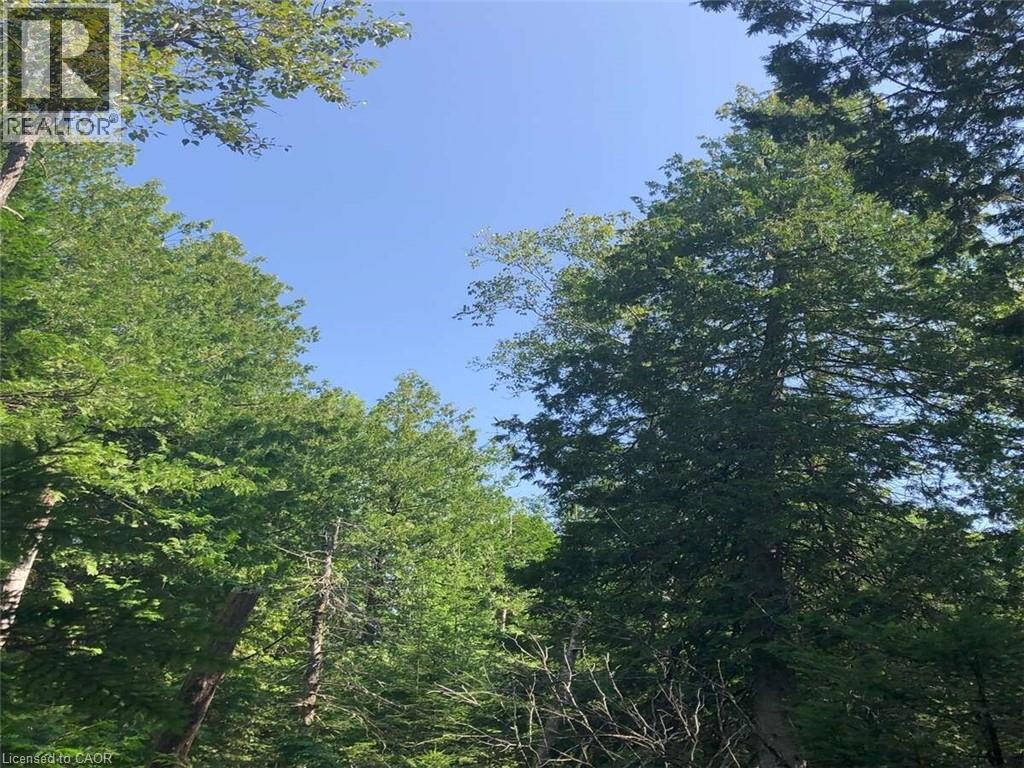 6 Dunn Street, Lion'S Head, ON