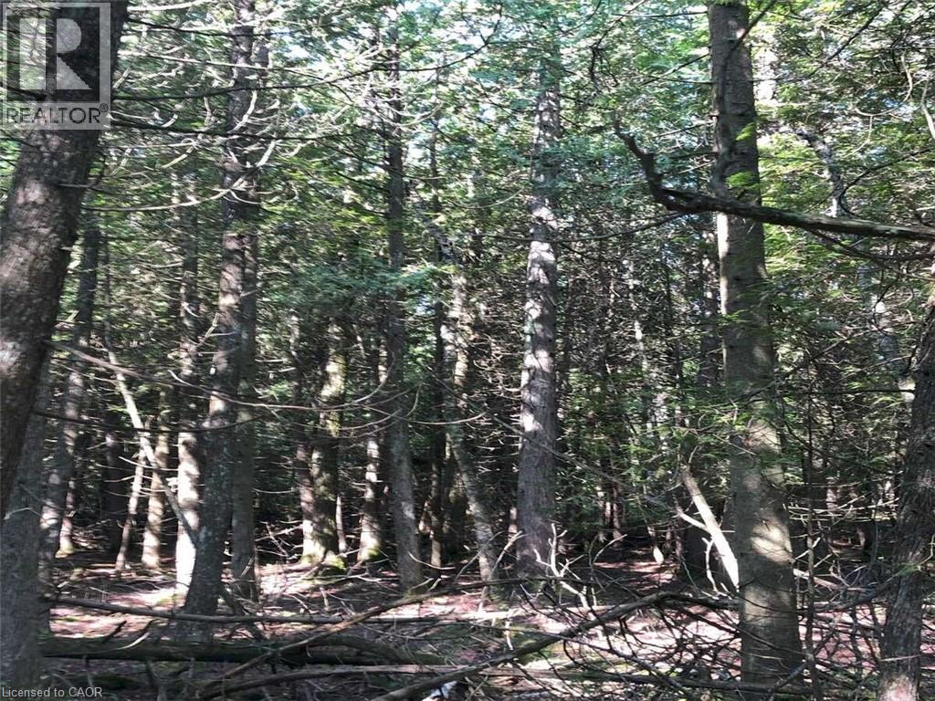 6 Dunn Street, Lion'S Head, ON