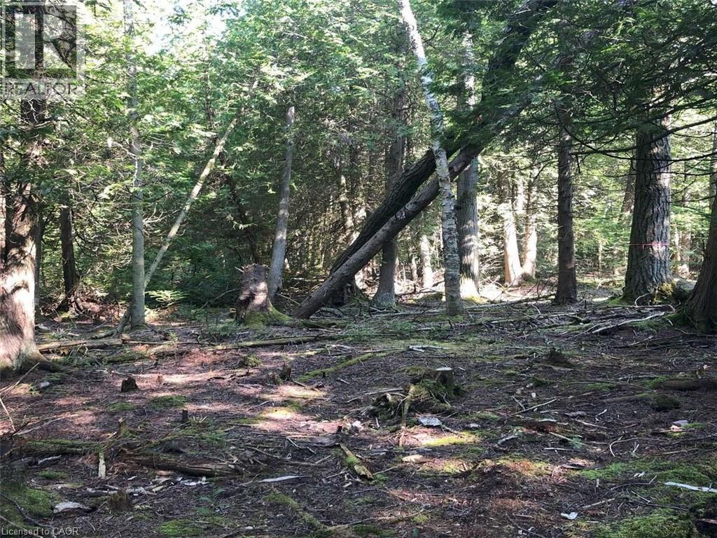 6 Dunn Street, Lion'S Head, ON