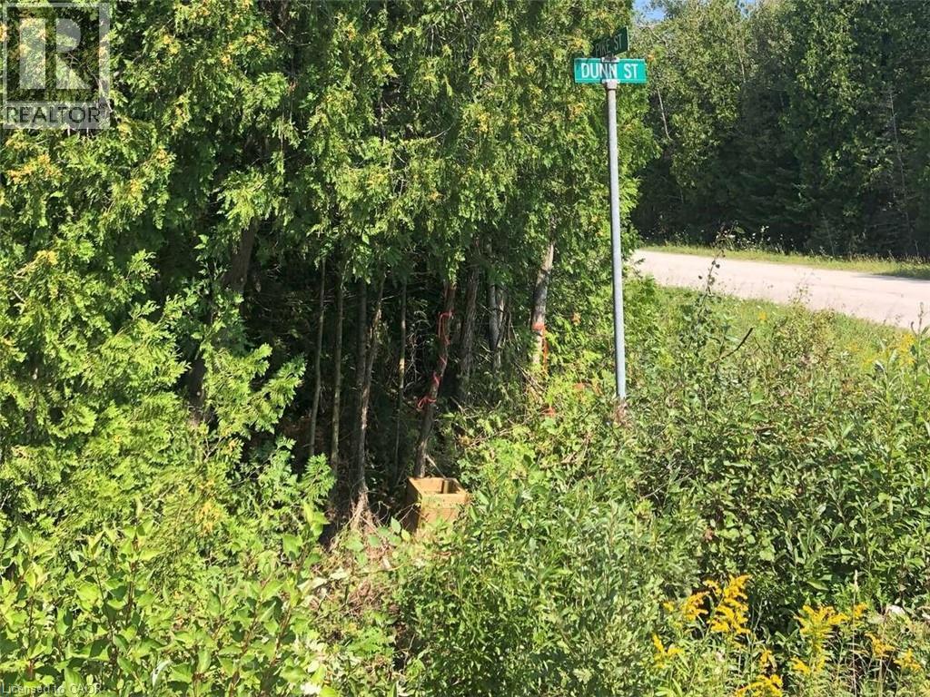 6 Dunn Street, Lion'S Head, ON