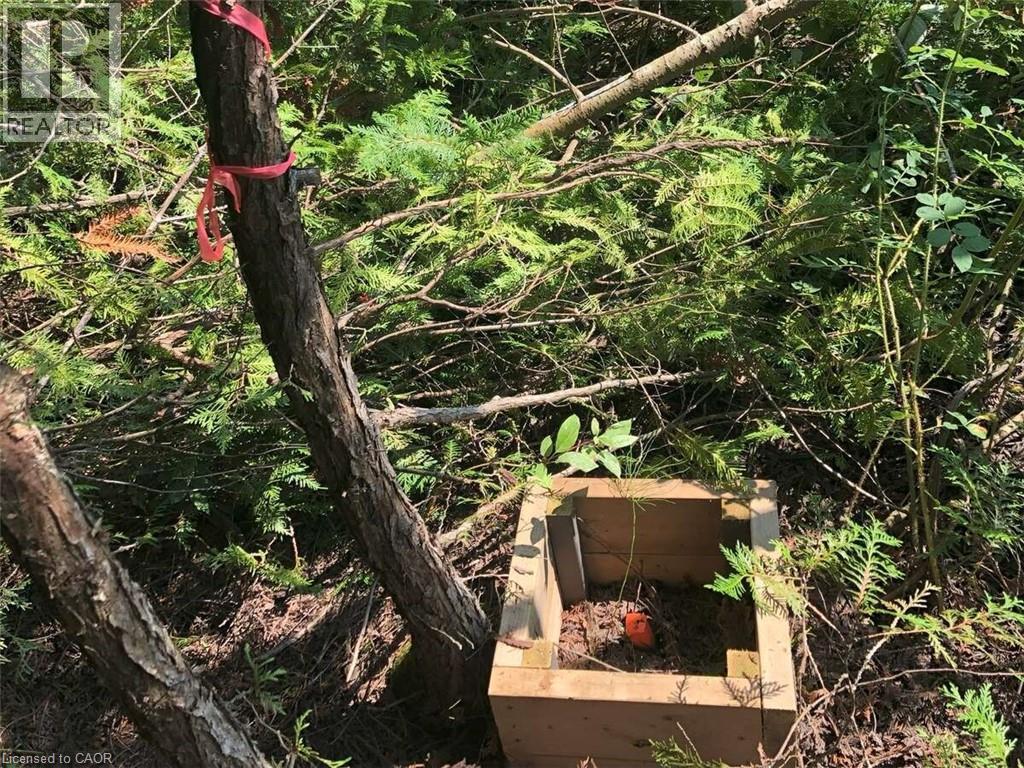 6 Dunn Street, Lion'S Head, ON