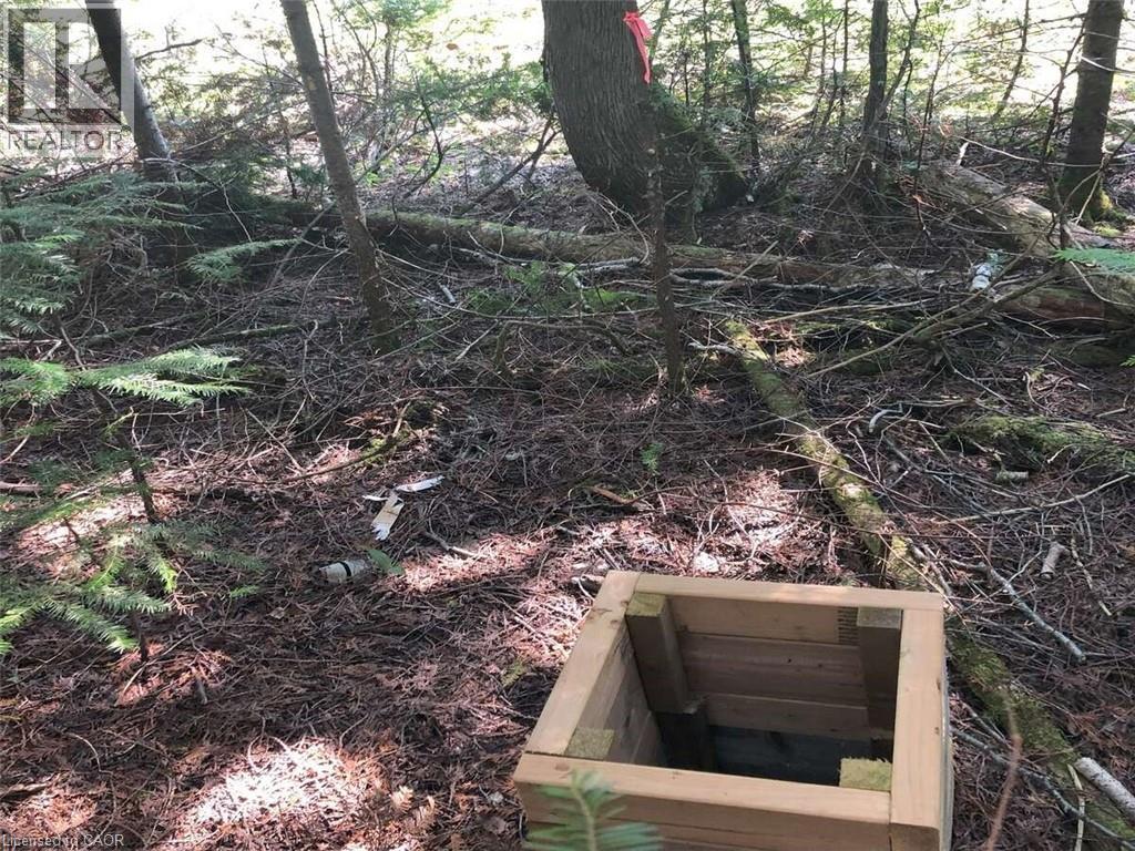 6 Dunn Street, Lion'S Head, ON