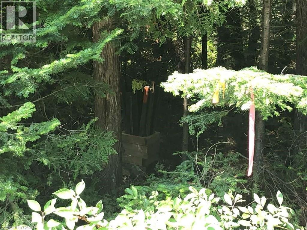 6 Dunn Street, Lion'S Head, ON