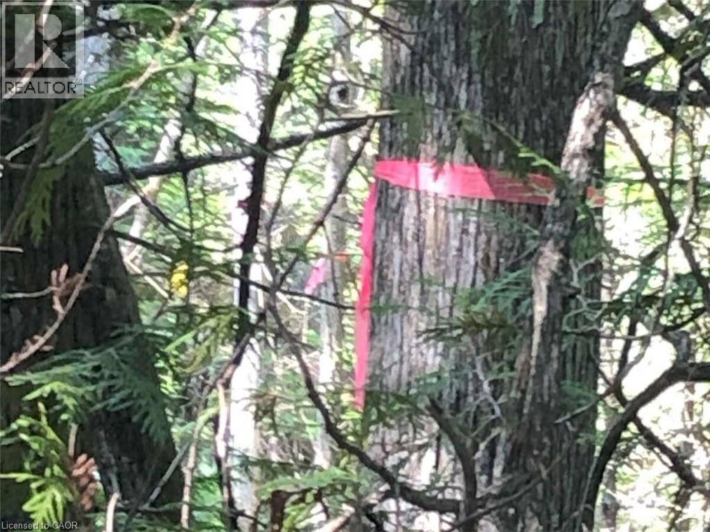 6 Dunn Street, Lion'S Head, ON