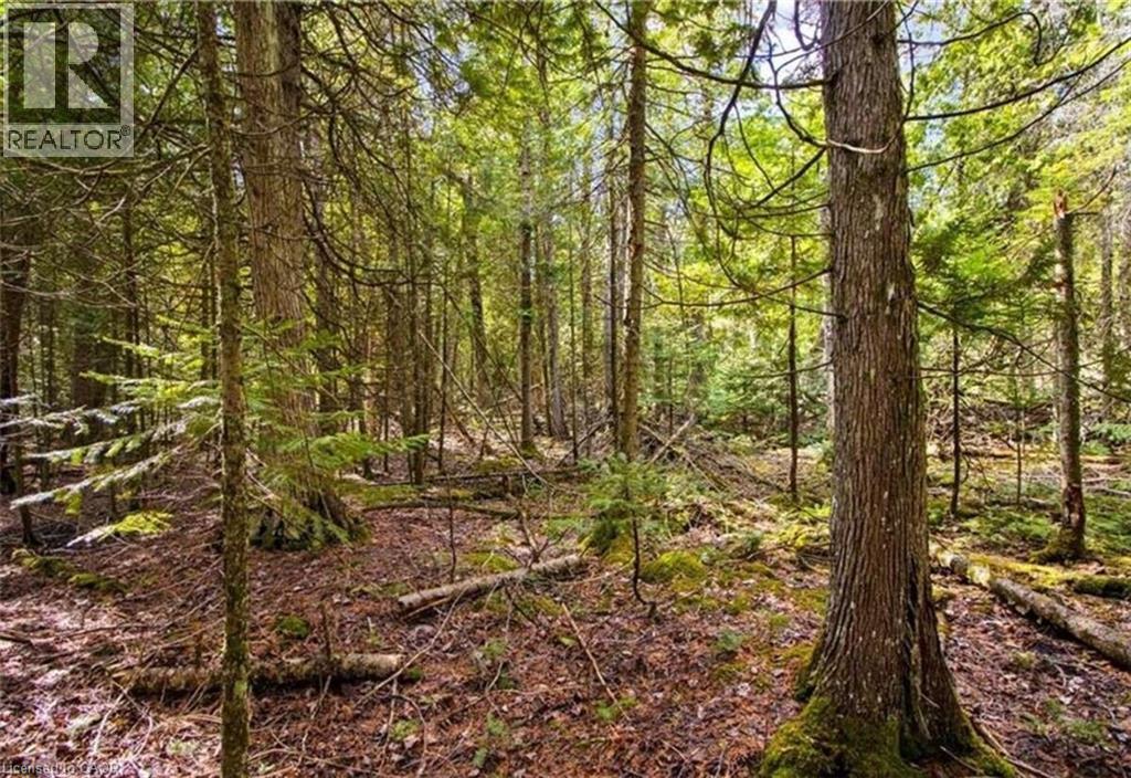 6 Dunn Street, Lion'S Head, ON