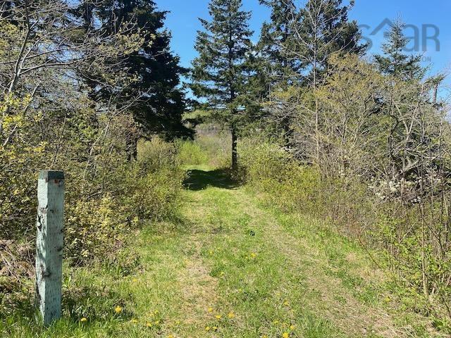 463 Macgarry Road, St. Joseph Du Moine, NS