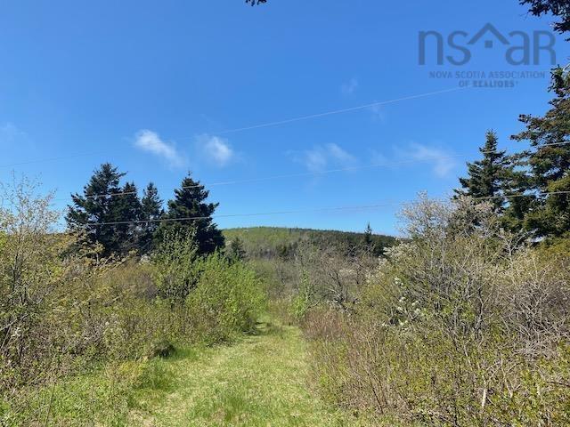 463 Macgarry Road, St. Joseph Du Moine, NS