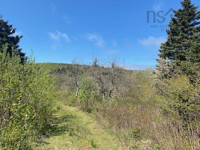 463 Macgarry Road, St. Joseph Du Moine, NS