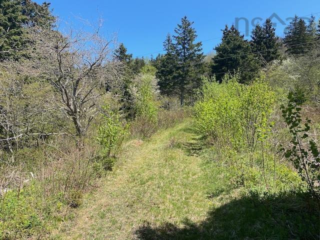 463 Macgarry Road, St. Joseph Du Moine, NS