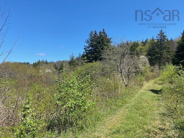 463 Macgarry Road, St. Joseph Du Moine, NS