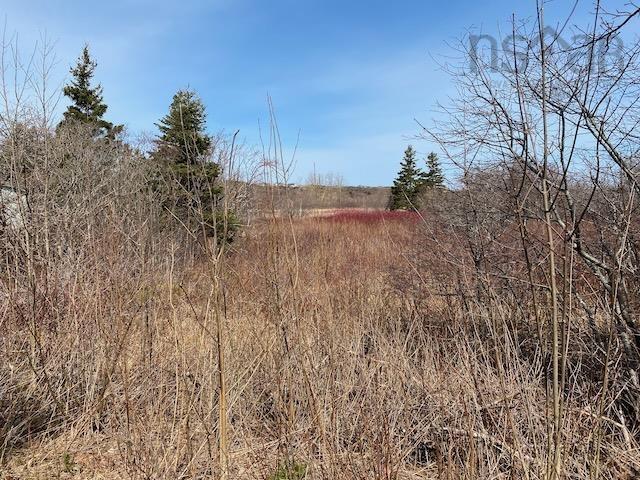 463 Macgarry Road, St. Joseph Du Moine, NS