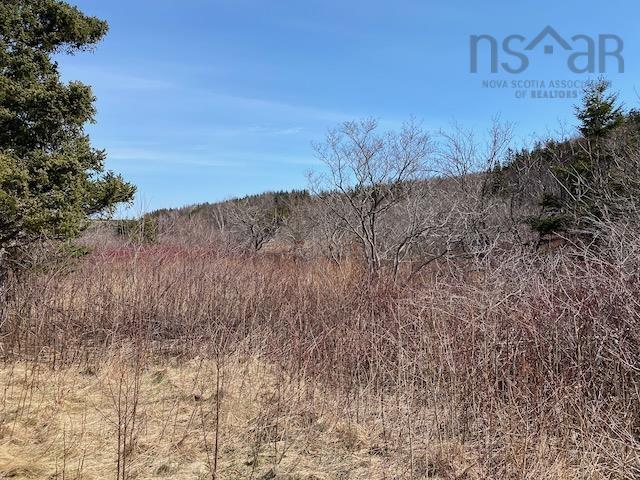 463 Macgarry Road, St. Joseph Du Moine, NS