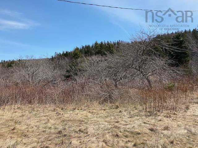 463 Macgarry Road, St. Joseph Du Moine, NS