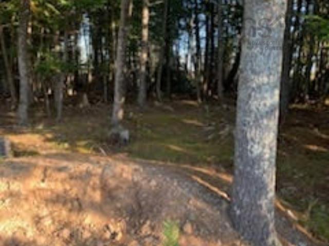 18 Acres Highway 256, West Branch, NS