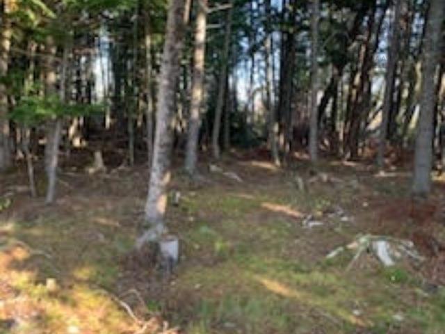 18 Acres Highway 256, West Branch, NS