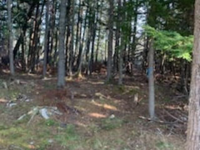 18 Acres Highway 256, West Branch, NS