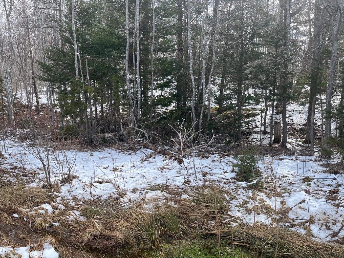 Kempt Head Road, Ross Ferry, NS