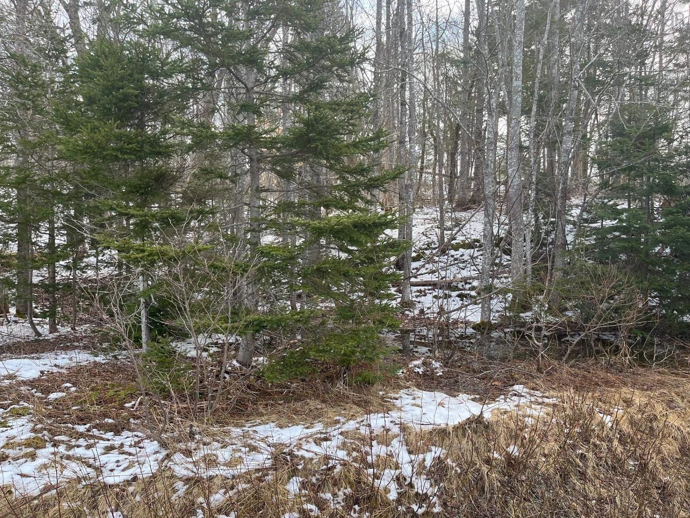 Kempt Head Road, Ross Ferry, NS