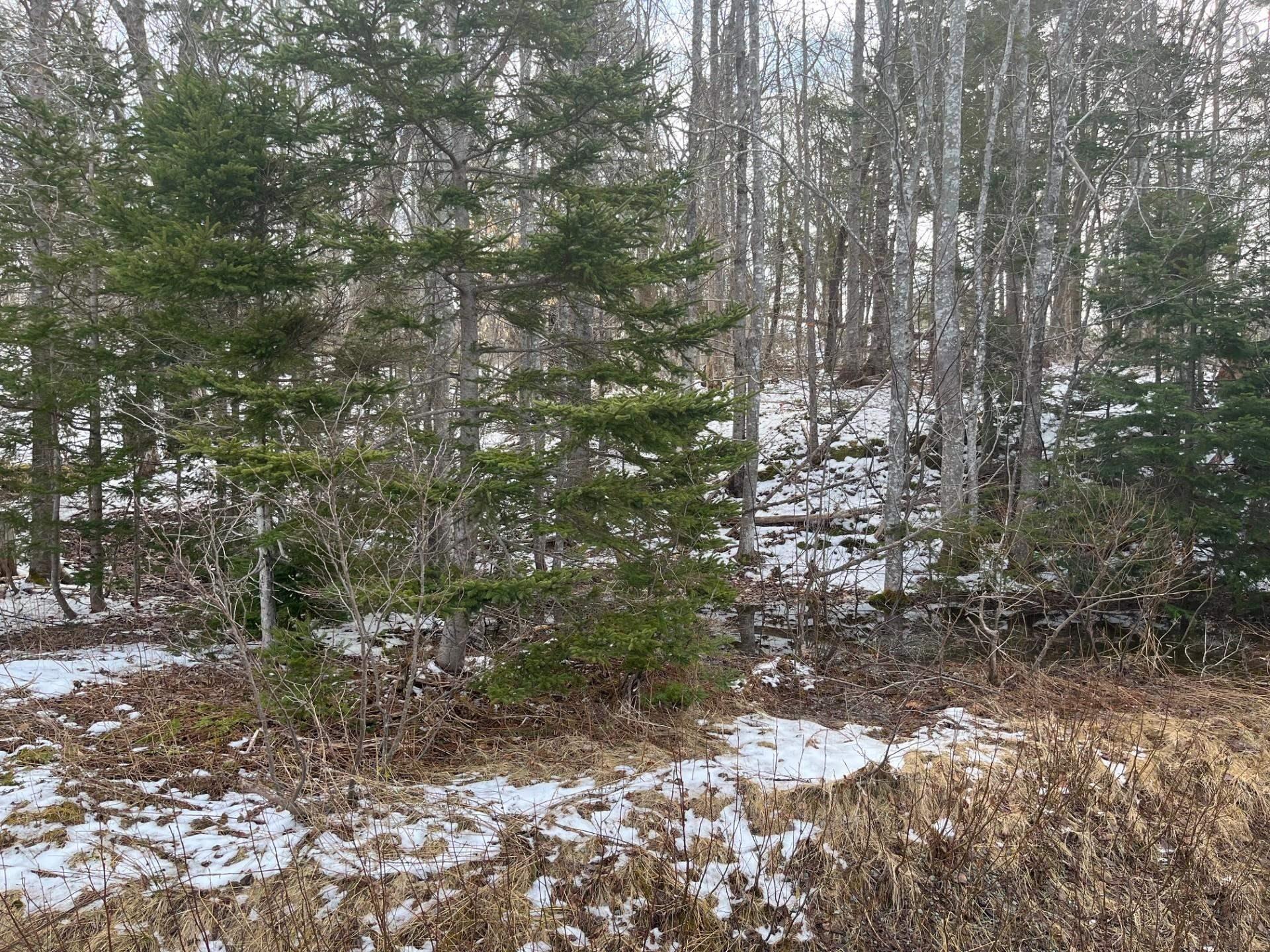 Kempt Head Road, Ross Ferry, NS