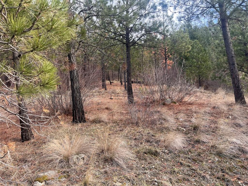 177 Loring Way, Lytton, BC - Outdoor With View