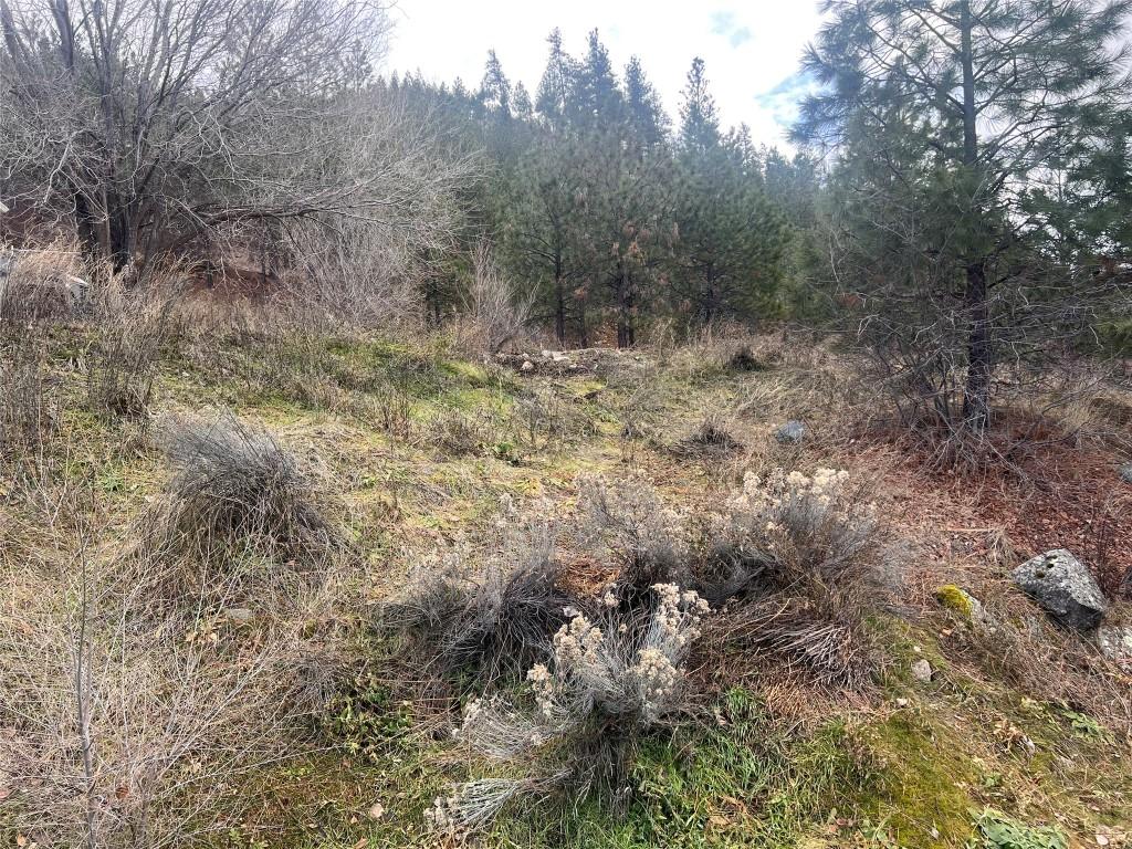 177 Loring Way, Lytton, BC - Outdoor With View