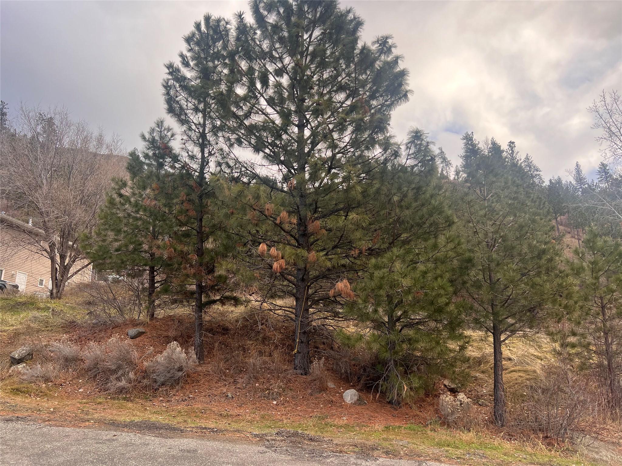 177 Loring Way, Lytton, BC - Outdoor With View