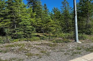 37 Driftwood Place, Elkford, BC - Outdoor