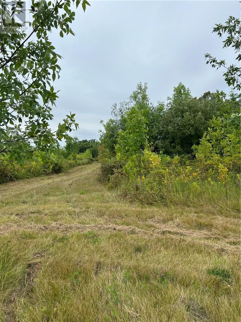 Pt 2 Highway 540, Gore Bay, Manitoulin Island, ON