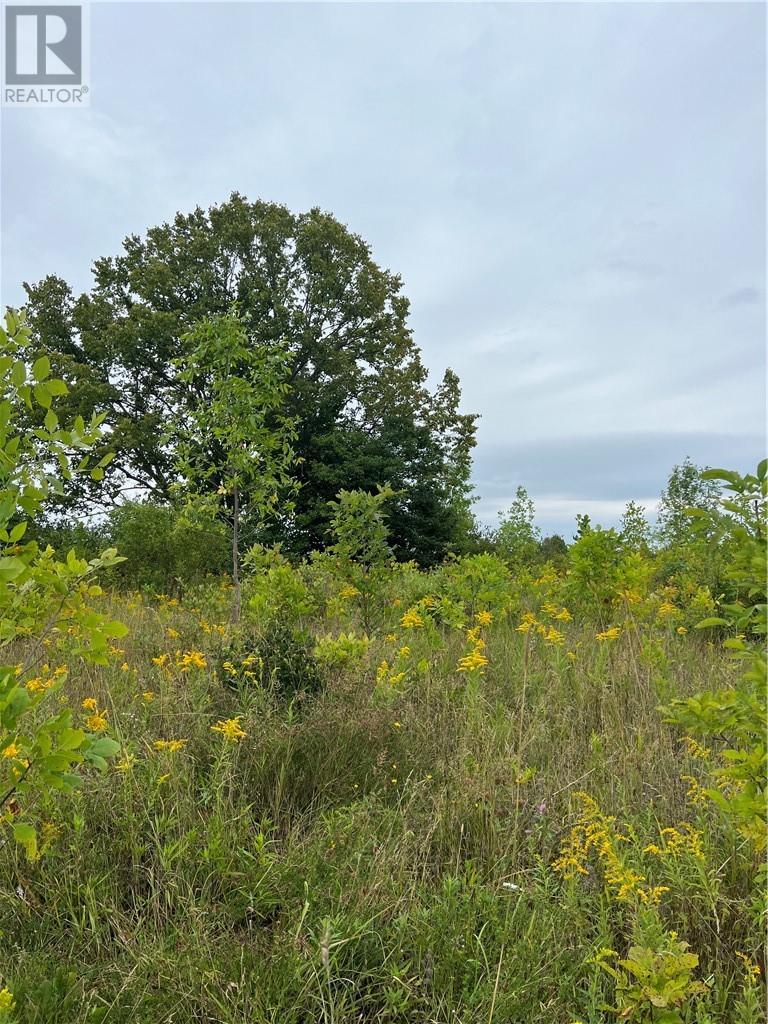 Pt 1 Highway 540, Gore Bay, Manitoulin Island, ON