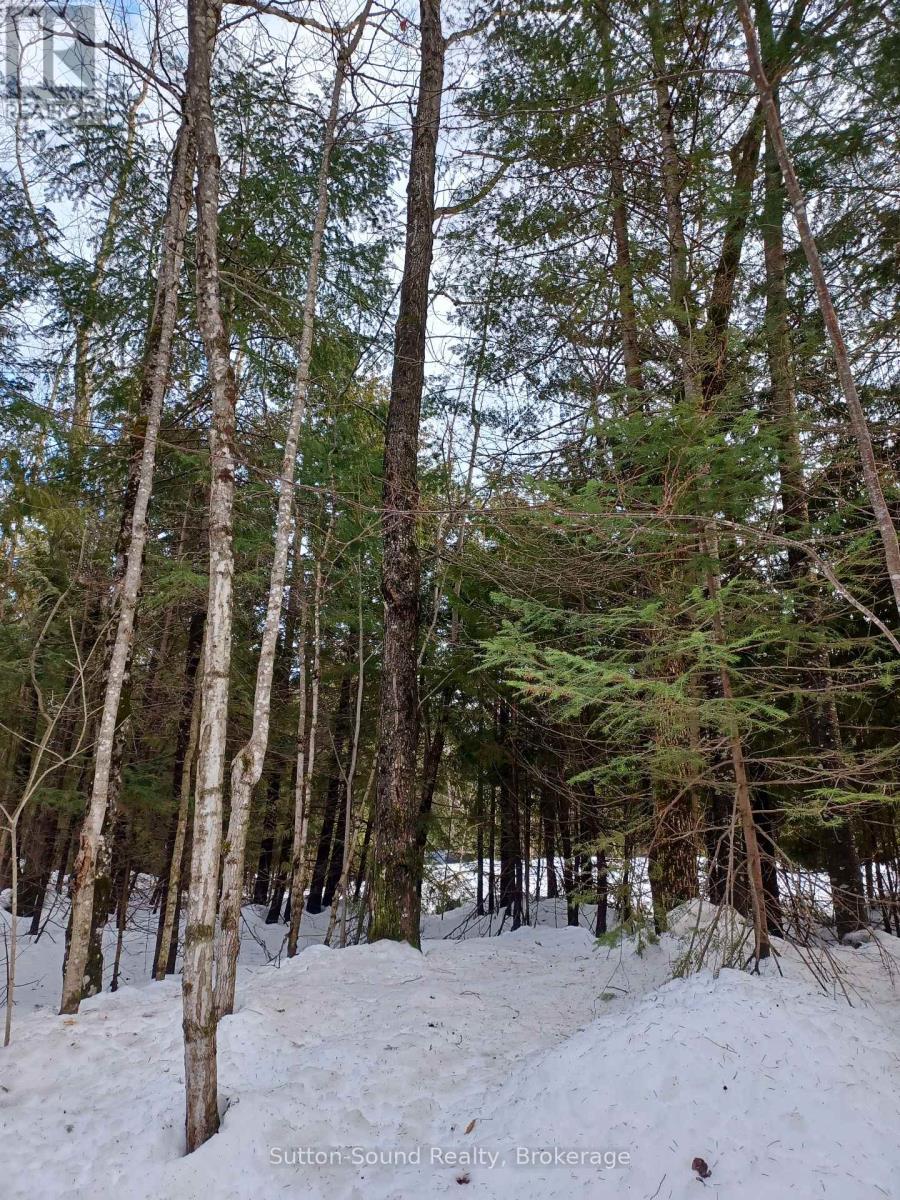 382309 Concession 17, Georgian Bluffs, ON