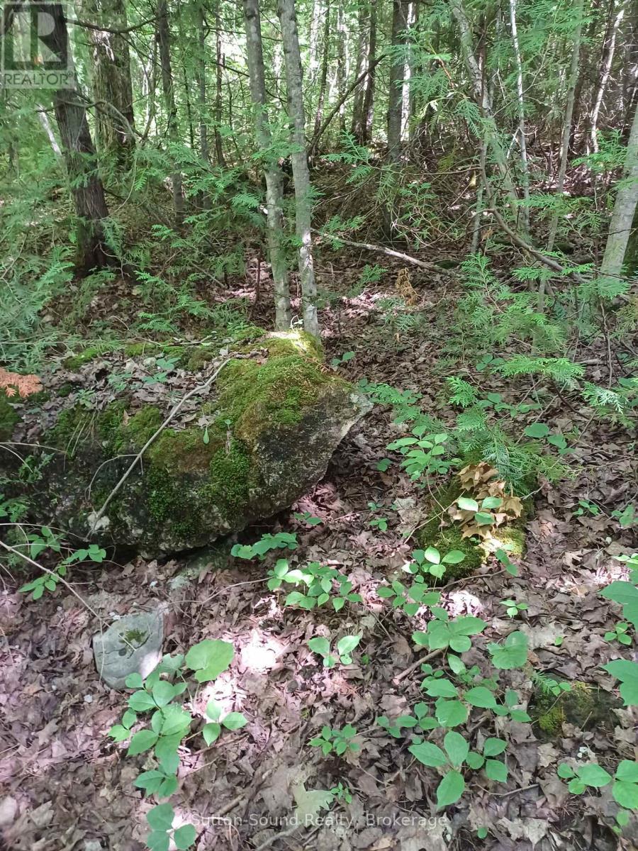 382309 Concession 17, Georgian Bluffs, ON