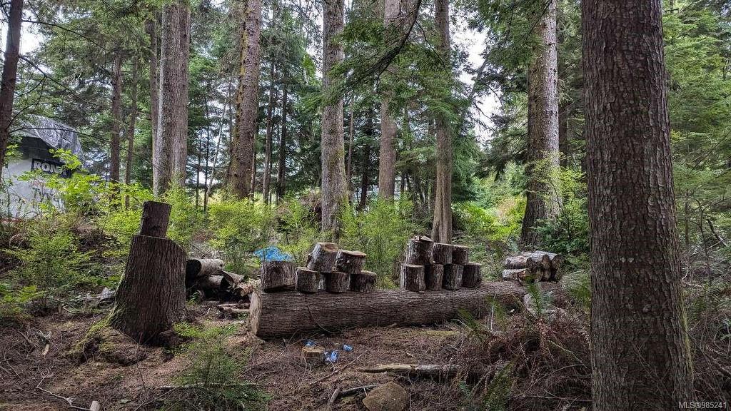 542E Larch St, Alert Bay, BC