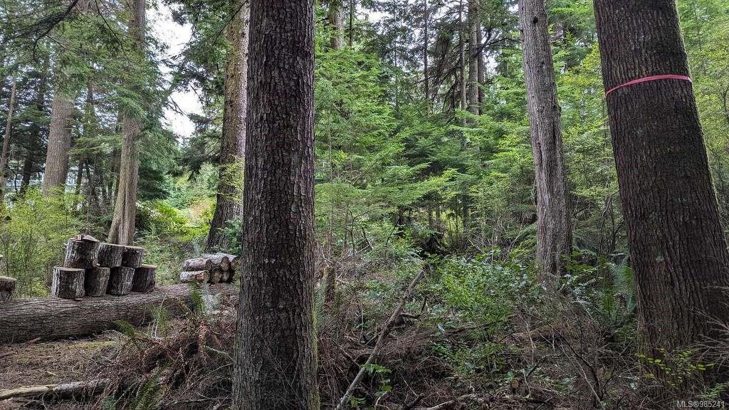 542E Larch St, Alert Bay, BC