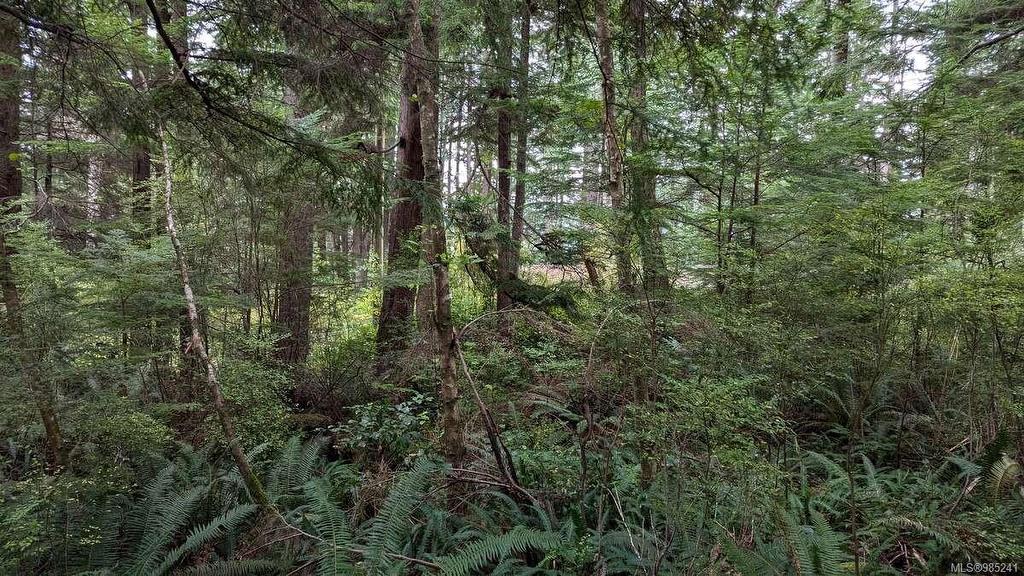 542E Larch St, Alert Bay, BC