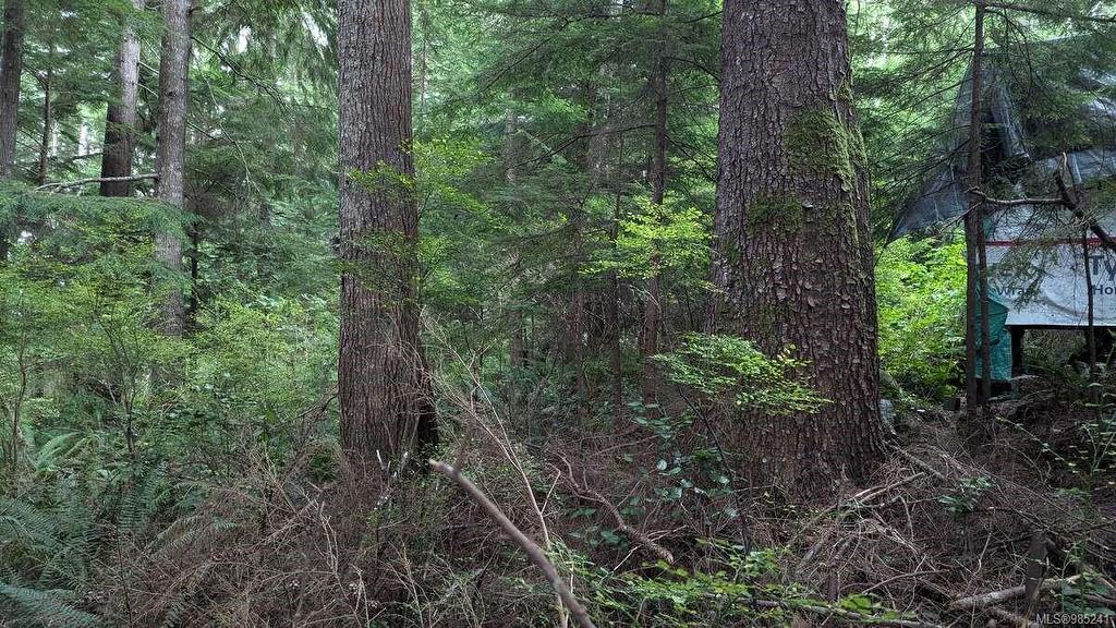 542E Larch St, Alert Bay, BC