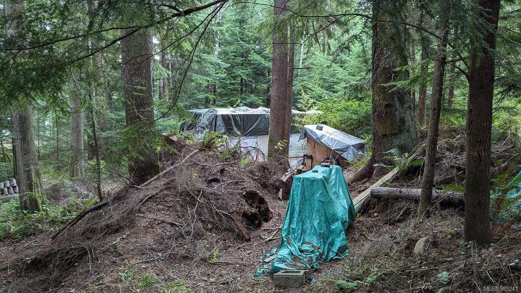 542E Larch St, Alert Bay, BC