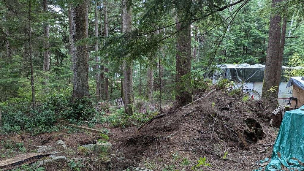 542E Larch St, Alert Bay, BC