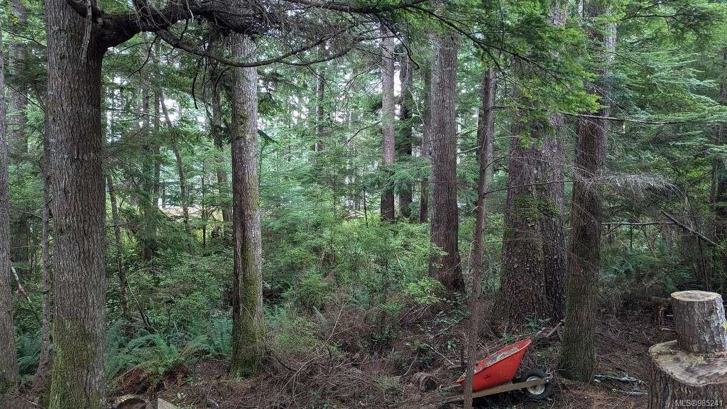 542E Larch St, Alert Bay, BC