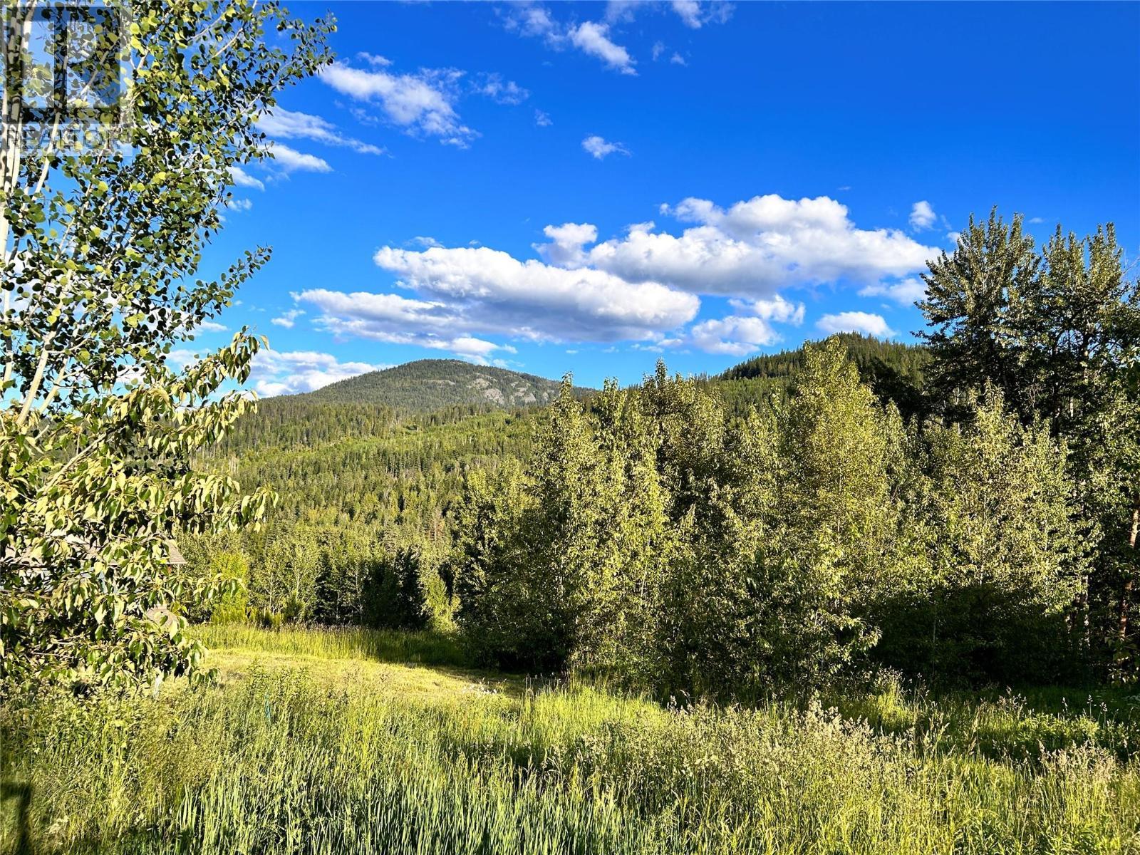 horizon - 917 Redstone Drive, Rossland, BC