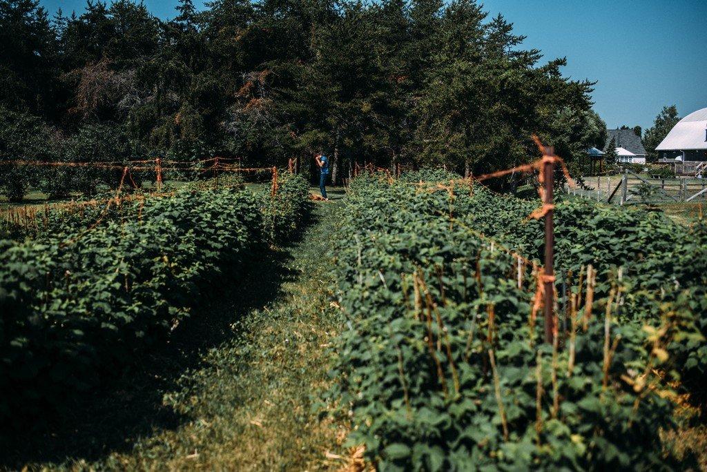 Exterior - 51B Rue Principale N., Saint-Bruno-De-Guigues, QC - Outdoor